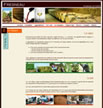 Création de site web NovaBoost - Fresneau