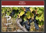 coteaux du vendomois brazilier